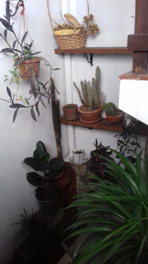 Osteria Alle Risorgive Codroipo Zewnętrze zdjęcie